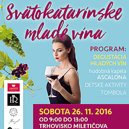 26.11.2016 - BA - Miletička